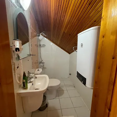 Проживание в семье Bedesten